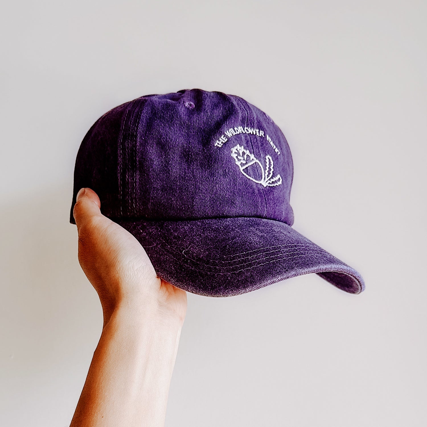 Australia Native banksia flower cap. Kolour Me australia